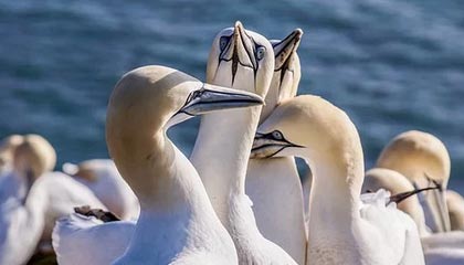 C7娱乐|游泳赛事v4.7.1