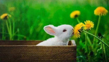 C7娱乐|游泳赛事v4.7.1